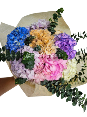 20240227_154516 (1)LETRA Bouquet hortensias y eucalipto