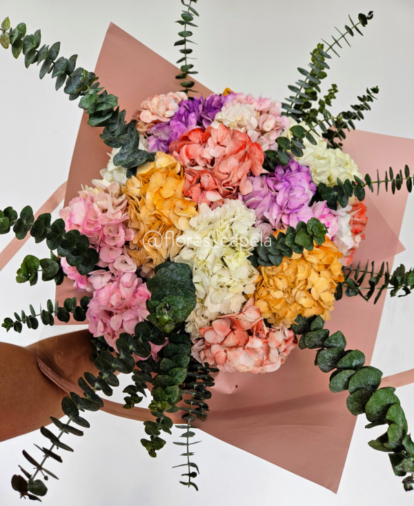Bouquet hortensias y eucalipto