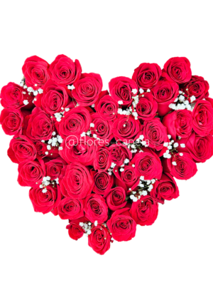 Corazón de rosas con gypsofilia