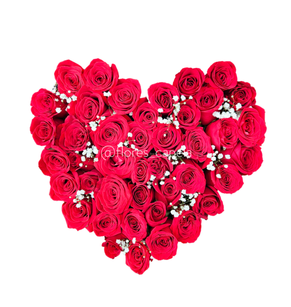 Corazón de rosas con gypsofilia