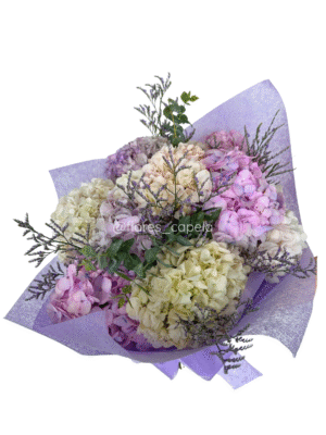 B11701 - Bouquet hortensias y follaje