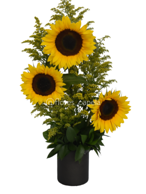 DSC_7744-EditLETRA Base circular con girasoles