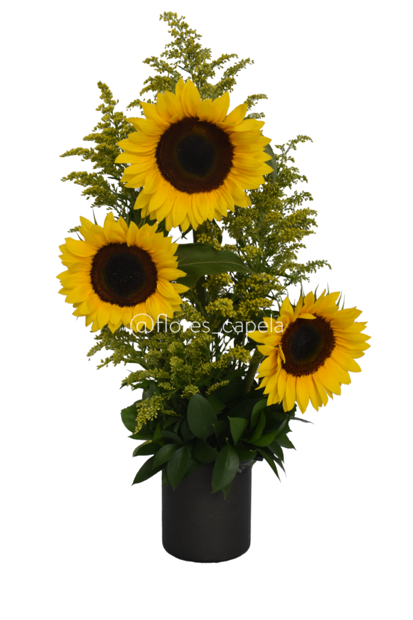 Base circular con girasoles
