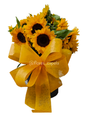 WhatsApp Image 2025-02-01 at 8.31.27 PMLETRA Base circular de girasoles