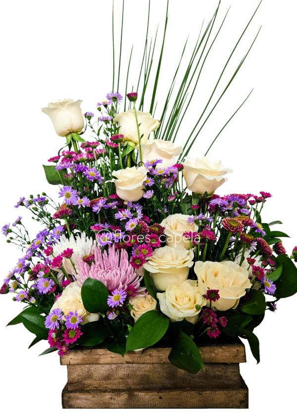 20240525_162605 (1)LETRA Diseño floral silvestre variado