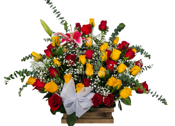 20240807_091926-2-EditletraB Diseño floral de rosas en tonos cálidos