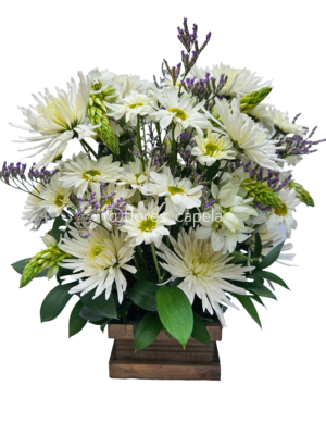 20250503_104109LETRA Blanca Calma