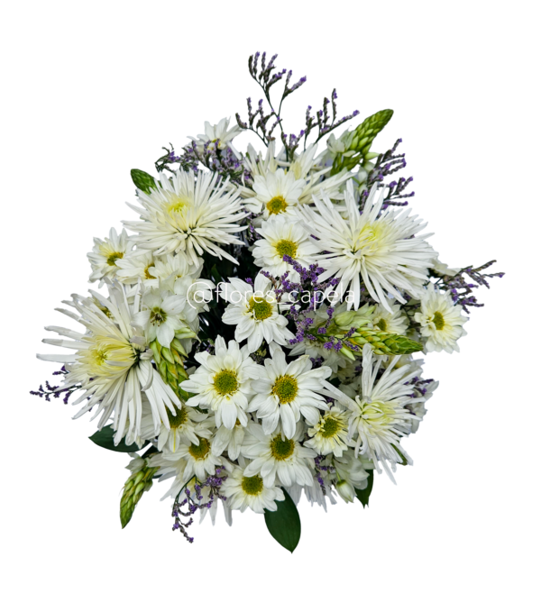 20250503_104123LETRA Blanca Calma