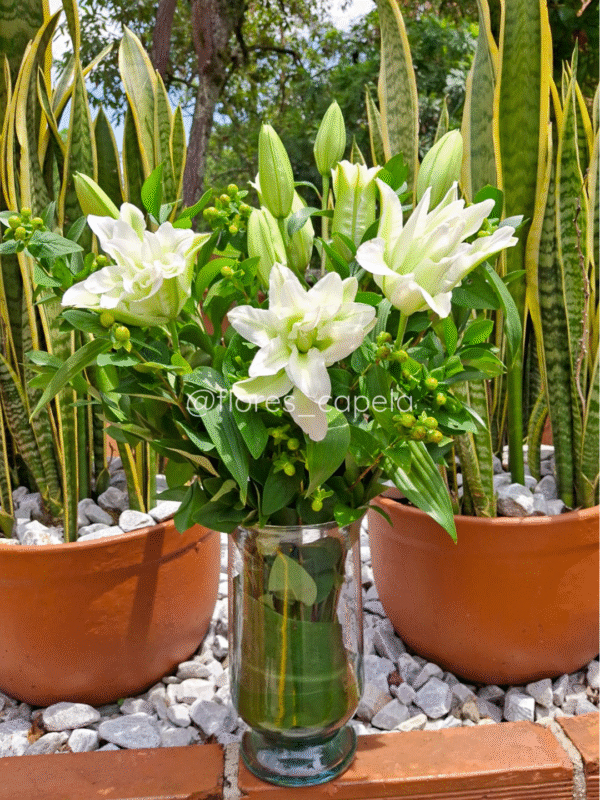 D11832 - Florero con lirios y follaje