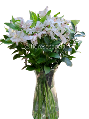 WhatsApp Image 2025-04-20 at 10.29.59 AM_LETRA Astromelia con follaje en florero