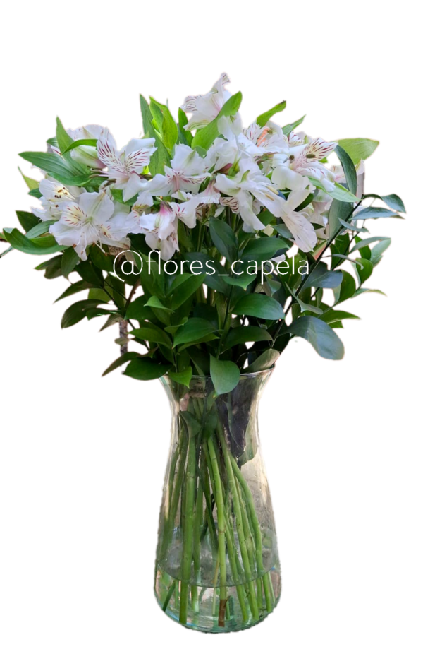 Astromelia con follaje en florero