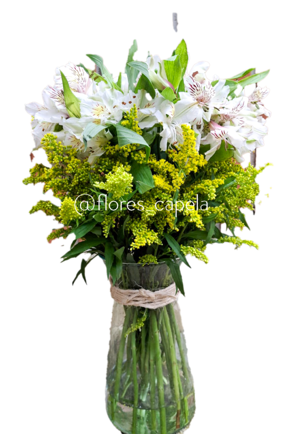 Astromelia con follaje en florero