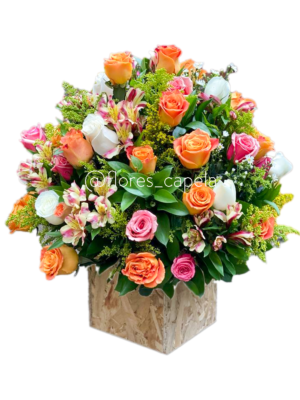 WhatsApp Image 2025-06-22 at 1.15.10 PMLETRA Colores del alma