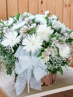 WhatsApp Image 2025-06-22 at 1.21.36 PMORLETR Luz Pura