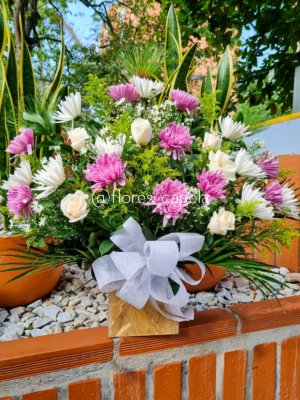 WhatsApp Image 2025-06-22 at 1.26.10 PMoriletra Aura floral