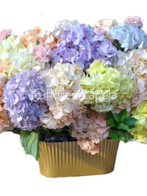 Diseño floral de hortensias variadas