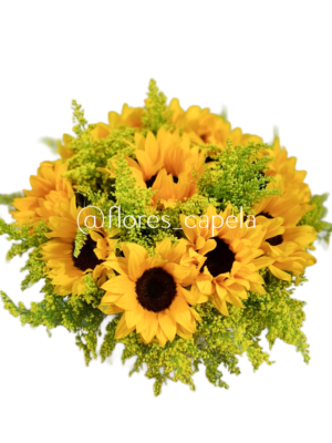 WhatsApp Image 2025-06-22 at 1.39.42 PM (1)LETRA Base circular de girasoles