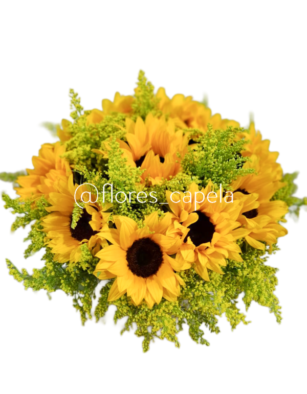 Base circular de girasoles