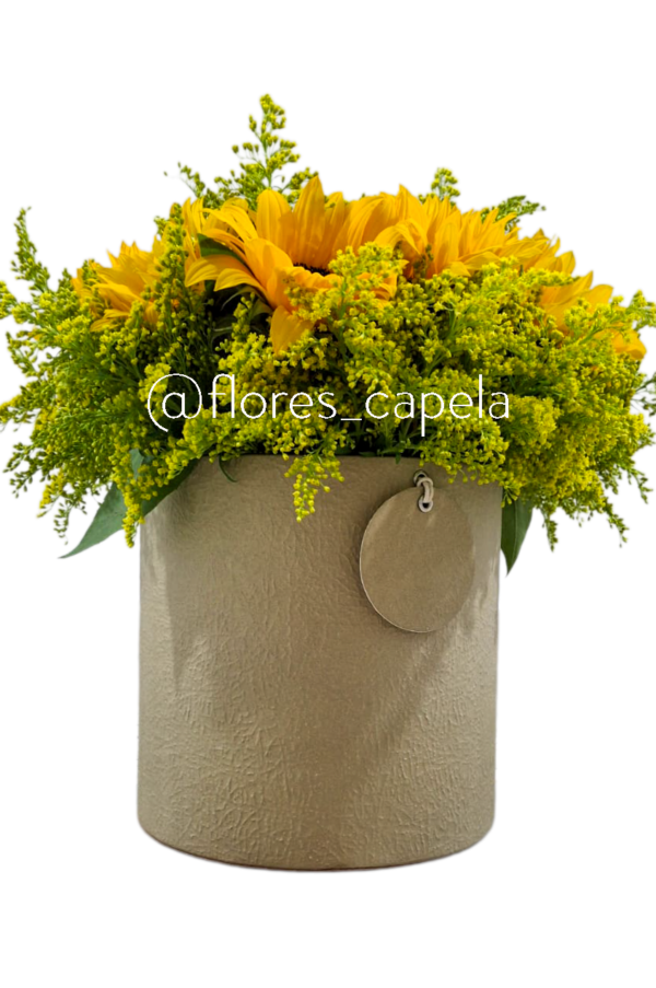 Base circular de girasoles