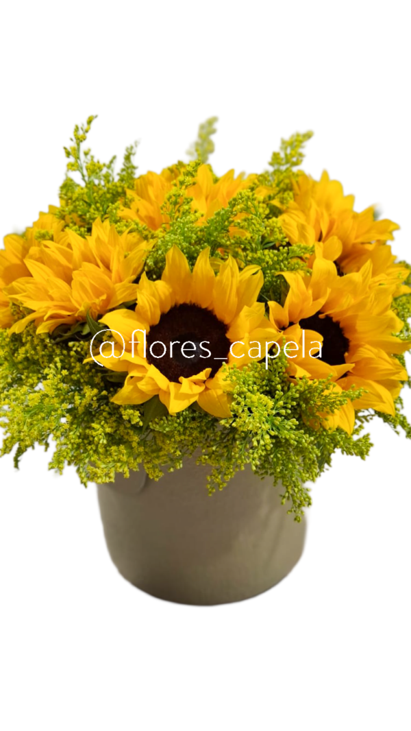 Base circular de girasoles