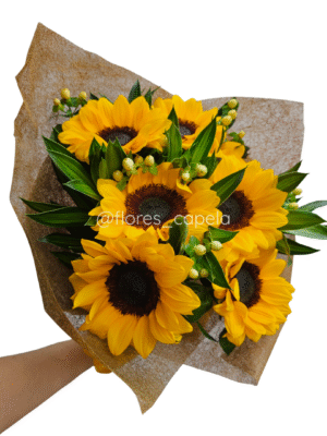 B11402 - Bouquet Girasoles