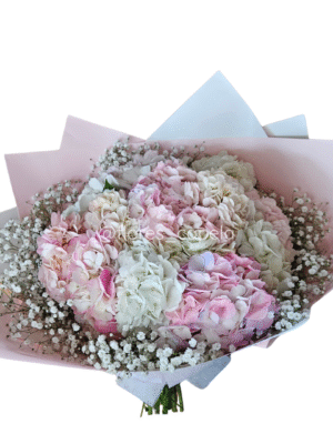 B11703 - Bouquet Hortensias y gypsofilia
