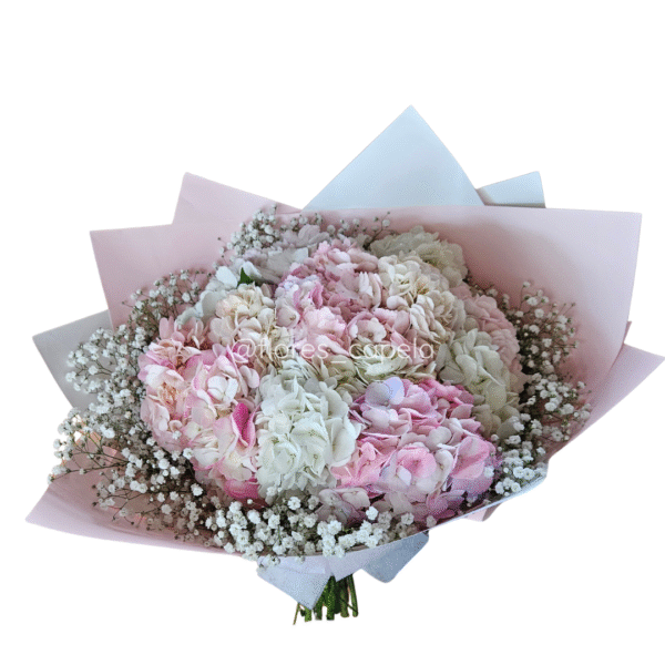 B11703 - Bouquet Hortensias y gypsofilia