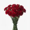 Clavel 1010803 - Clavel