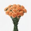 Clavel 2 1010803 - Clavel
