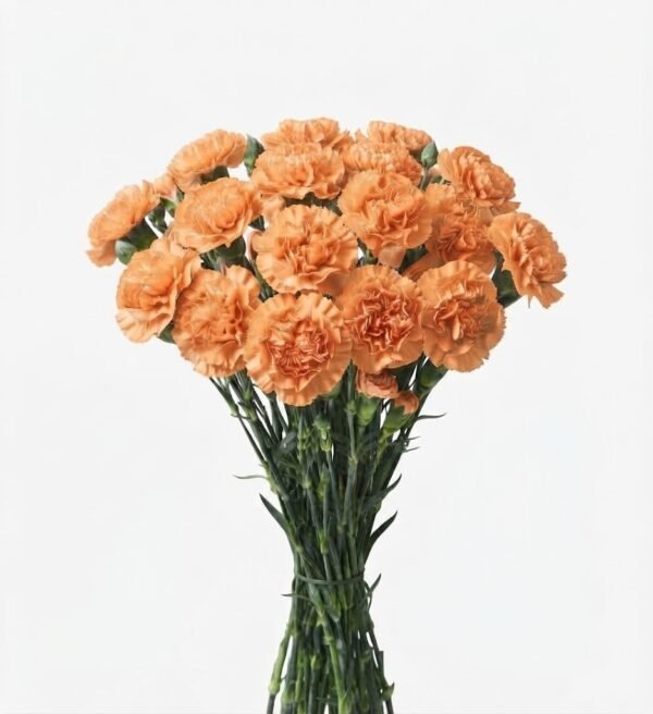 Clavel 2 1010803 - Clavel
