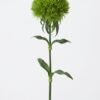Clavel greenball 1010802 - Clavel Greenball