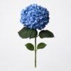 1011702 - Hortensia