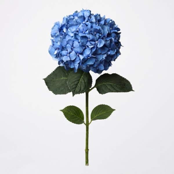 1011702 - Hortensia