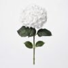 1011702 - Hortensia