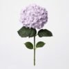 1011702 - Hortensia