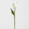 Minicalla blanco 1010702 - Calla