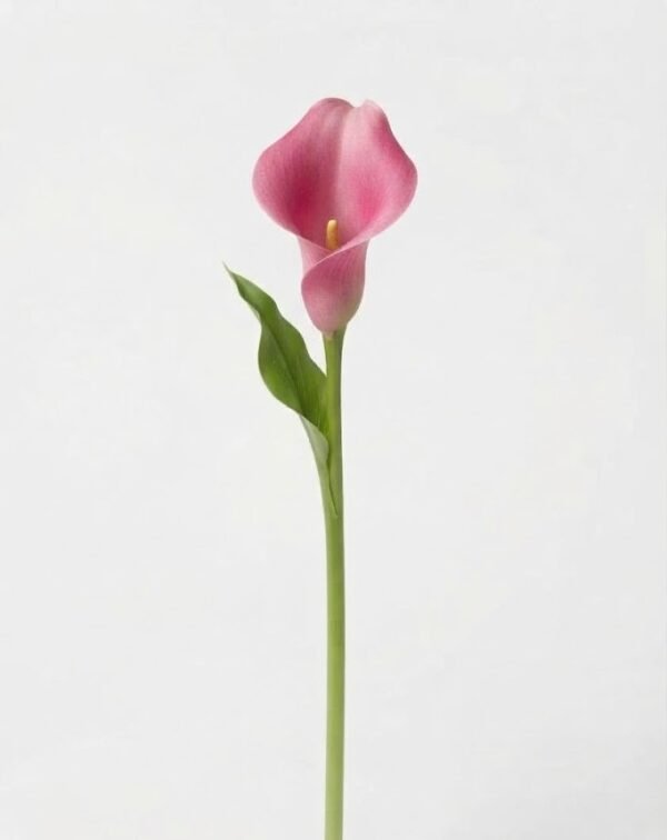 Minicalla rosada 1010702 - Calla