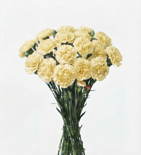 clavel 4 1010803 - Clavel